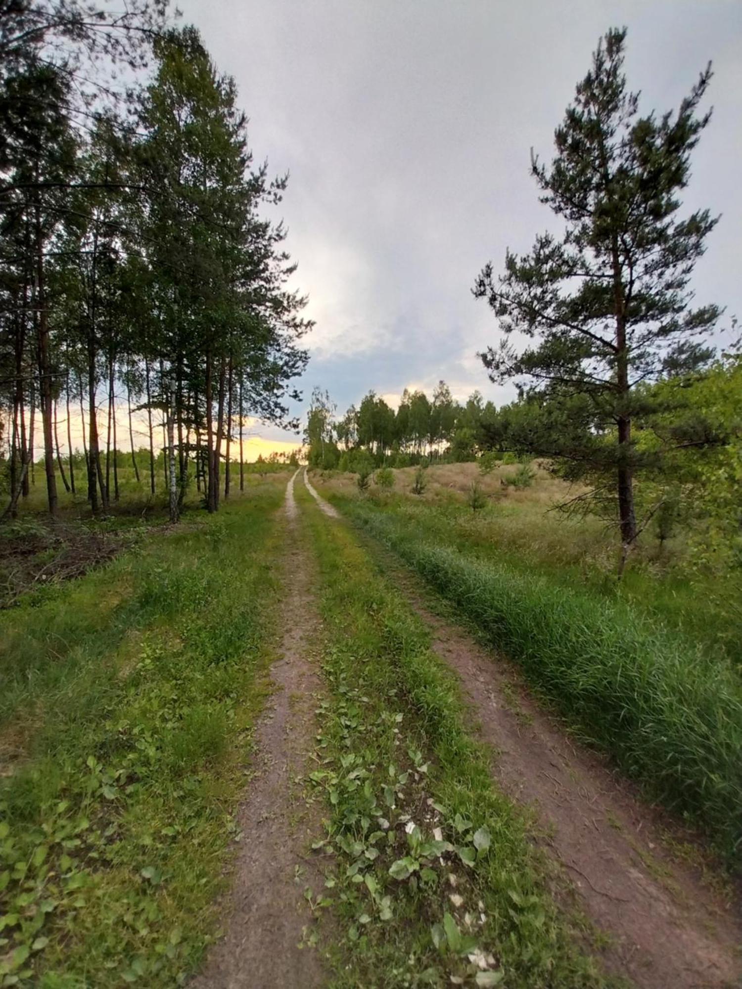 Holiday home Wypoczynek Kocia Gora Dziemiany