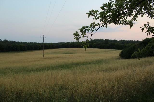 Wypoczynek Kocia Gora Holiday home
