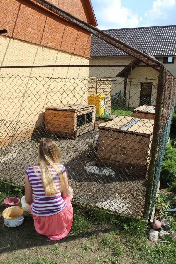 Holiday home Wypoczynek Kocia Gora Dziemiany